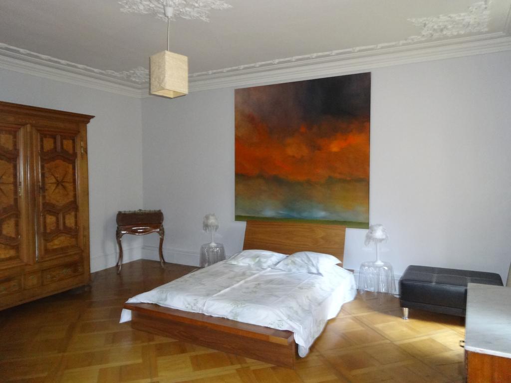 Les Serruriers - Appartement Spacieux Avec Terrasse & Parking Страсбург Екстериор снимка